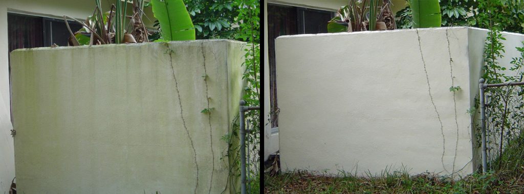 Exterior House Algae Removal Largo Florida