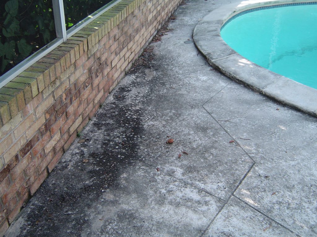Pool Deck Cleaning Safety Harbor Florida Before