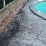 Pool Deck Cleaning Safety Harbor Florida Before
