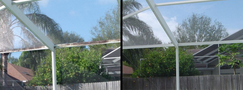 Pool Enclosure Cleaning Palm Harbor, FL