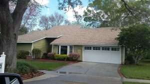 Shingle Roof Cleaning