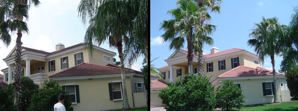 Tile Roof Cleaning Oldsmar, FL