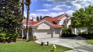 Tile Roof Cleaning